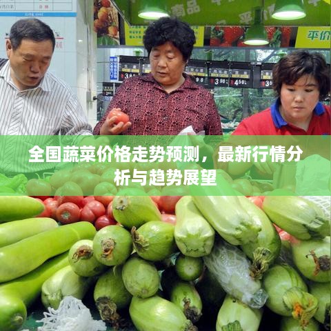 全国蔬菜价格走势预测，最新行情分析与趋势展望