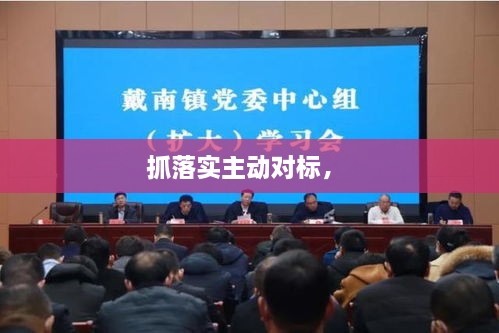 抓落实主动对标， 