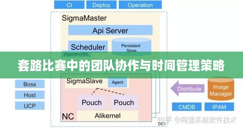 套路比赛中的团队协作与时间管理策略