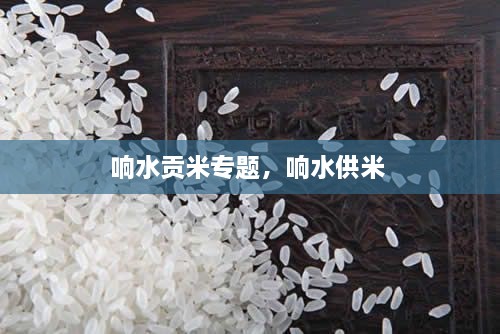响水贡米专题，响水供米 