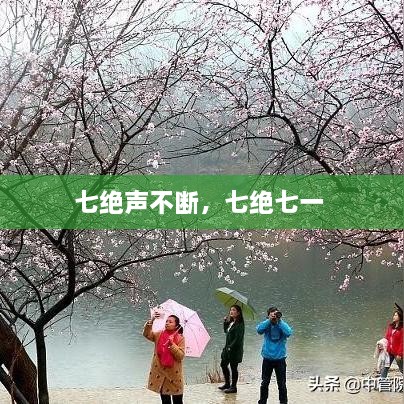 七绝声不断，七绝七一 