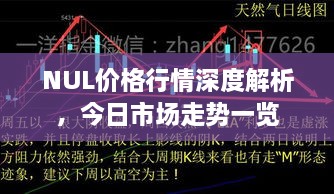 NUL价格行情深度解析，今日市场走势一览