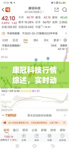 康冠科技行情综述，实时动态，洞悉每日涨跌