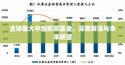 全球最大中国股票基金，深度解读与未来展望