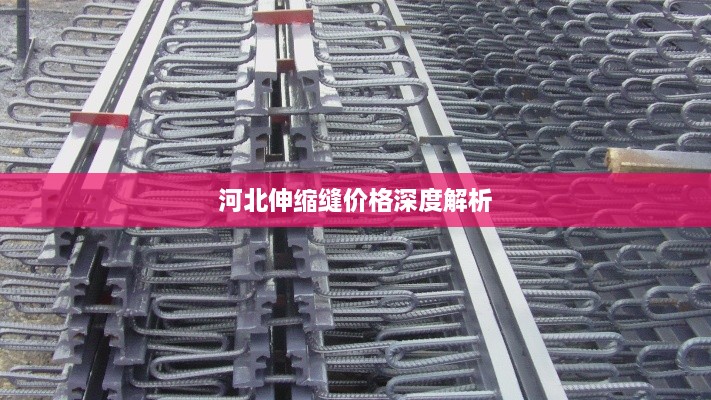 河北伸缩缝价格深度解析