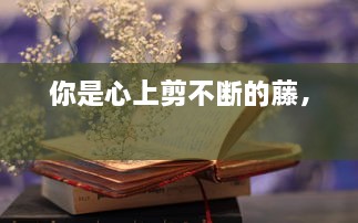 火伞高张 第2页