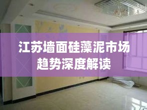 江苏墙面硅藻泥市场趋势深度解读
