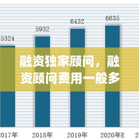 融资独家顾问，融资顾问费用一般多少 