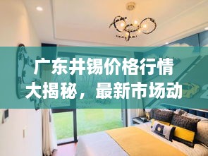 广东井锡价格行情大揭秘，最新市场动态分析！