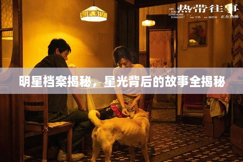 明星档案揭秘，星光背后的故事全揭秘