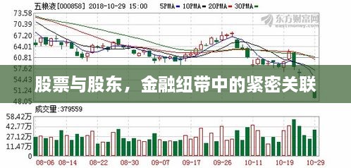 股票与股东，金融纽带中的紧密关联