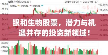 银和生物股票，潜力与机遇并存的投资新领域！