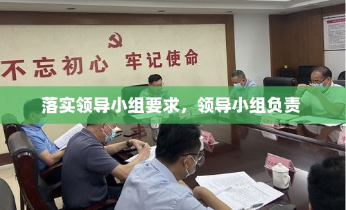 落实领导小组要求，领导小组负责 