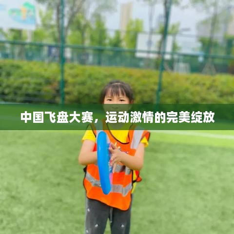 中国飞盘大赛，运动激情的完美绽放