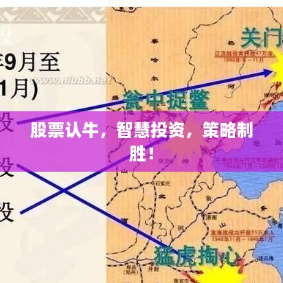 股票认牛，智慧投资，策略制胜！