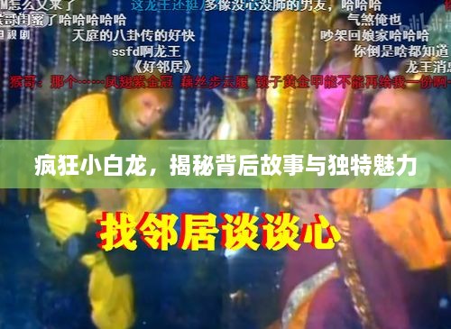 疯狂小白龙，揭秘背后故事与独特魅力