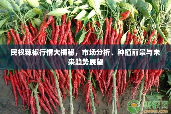一毫不苟 第2页