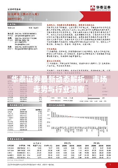 华泰证券最新动态解析，市场走势与行业洞察