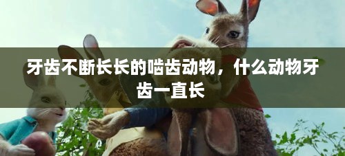 牙齿不断长长的啮齿动物，什么动物牙齿一直长 