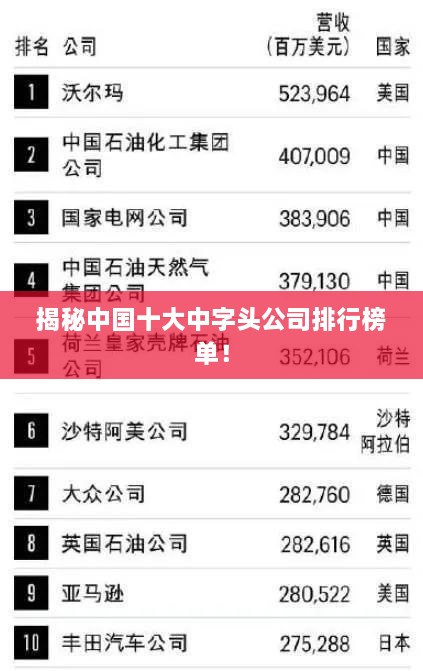 揭秘中国十大中字头公司排行榜单！