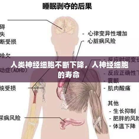 管窥蛙见 第2页