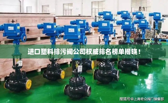 进口塑料排污阀公司权威排名榜单揭晓！