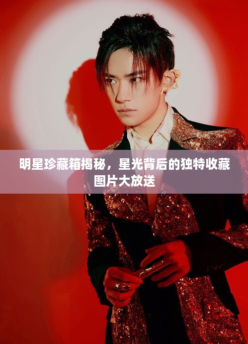 明星珍藏箱揭秘，星光背后的独特收藏图片大放送