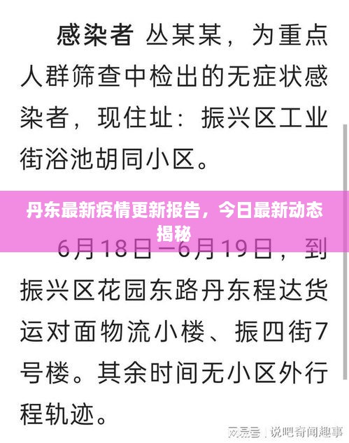丹东最新疫情更新报告，今日最新动态揭秘