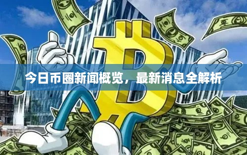 今日币圈新闻概览，最新消息全解析
