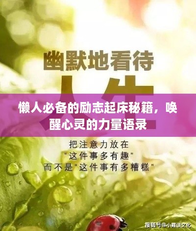 懒人必备的励志起床秘籍，唤醒心灵的力量语录