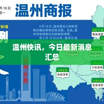 温州快讯，今日最新消息汇总