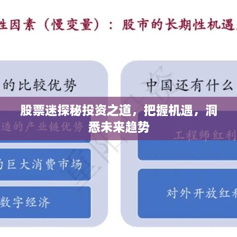 股票迷探秘投资之道，把握机遇，洞悉未来趋势