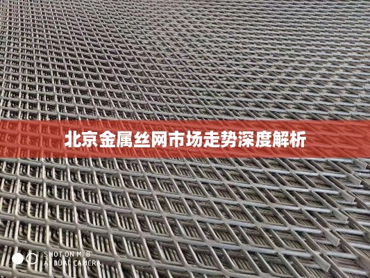 北京金属丝网市场走势深度解析