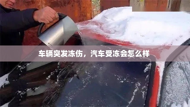 车辆突发冻伤，汽车受冻会怎么样 