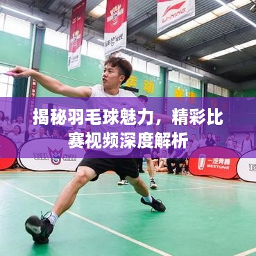 揭秘羽毛球魅力，精彩比赛视频深度解析