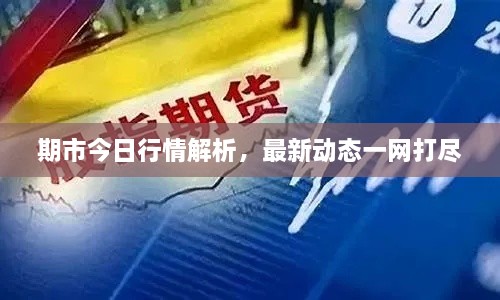 期市今日行情解析，最新动态一网打尽