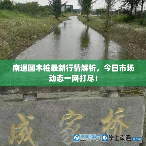 南通圆木桩最新行情解析，今日市场动态一网打尽！