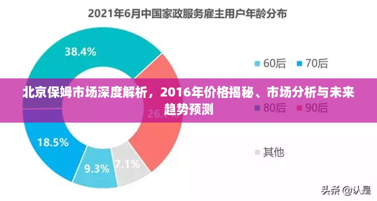 北京保姆市场深度解析，2016年价格揭秘、市场分析与未来趋势预测