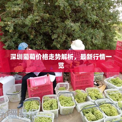 黑天摸地