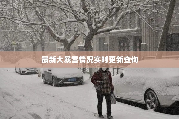 最新大暴雪情况实时更新查询