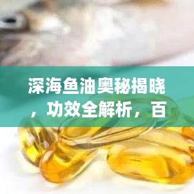 不飞则已
