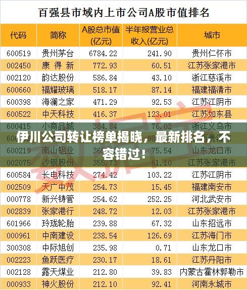 伊川公司转让榜单揭晓，最新排名，不容错过！
