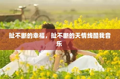 熊经鸟申