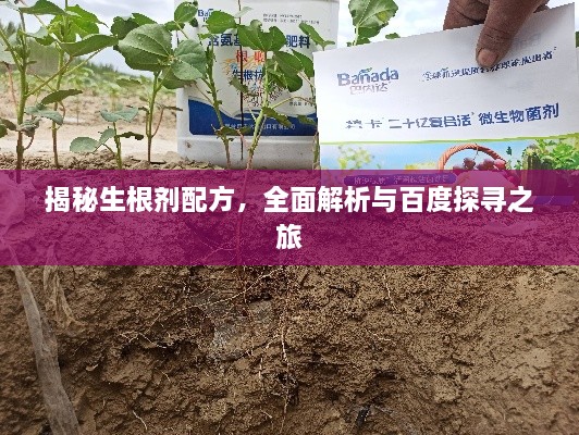 滔滔不绝