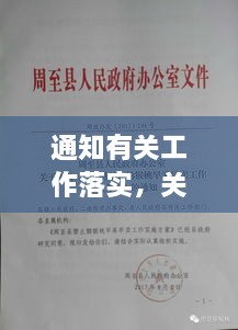 噩噩浑浑