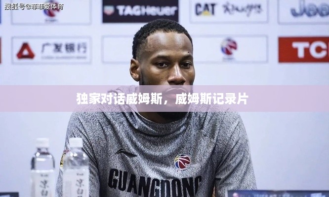 独家对话威姆斯，威姆斯记录片 