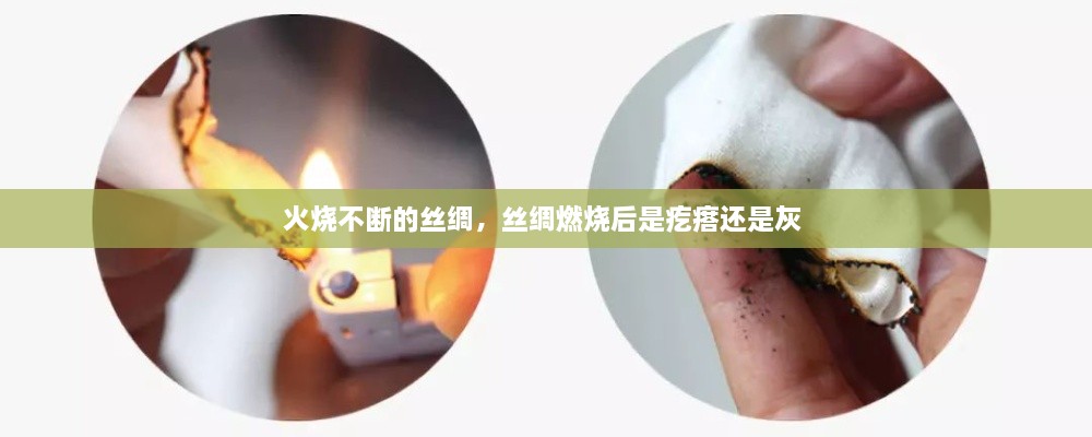 飞潜动植