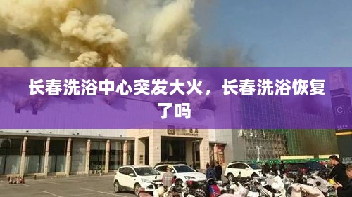 笼鸟槛猿