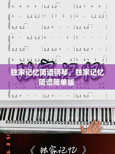 读书三到