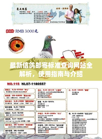 最新信鸽邮寄标准查询网站全解析，使用指南与介绍